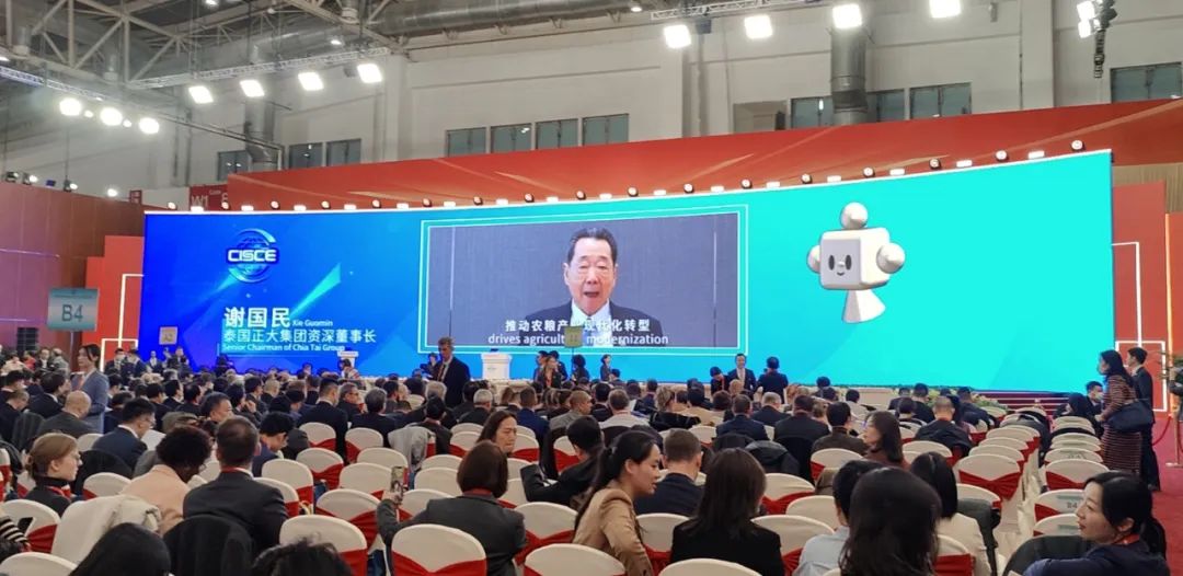 BET体育365投注官网