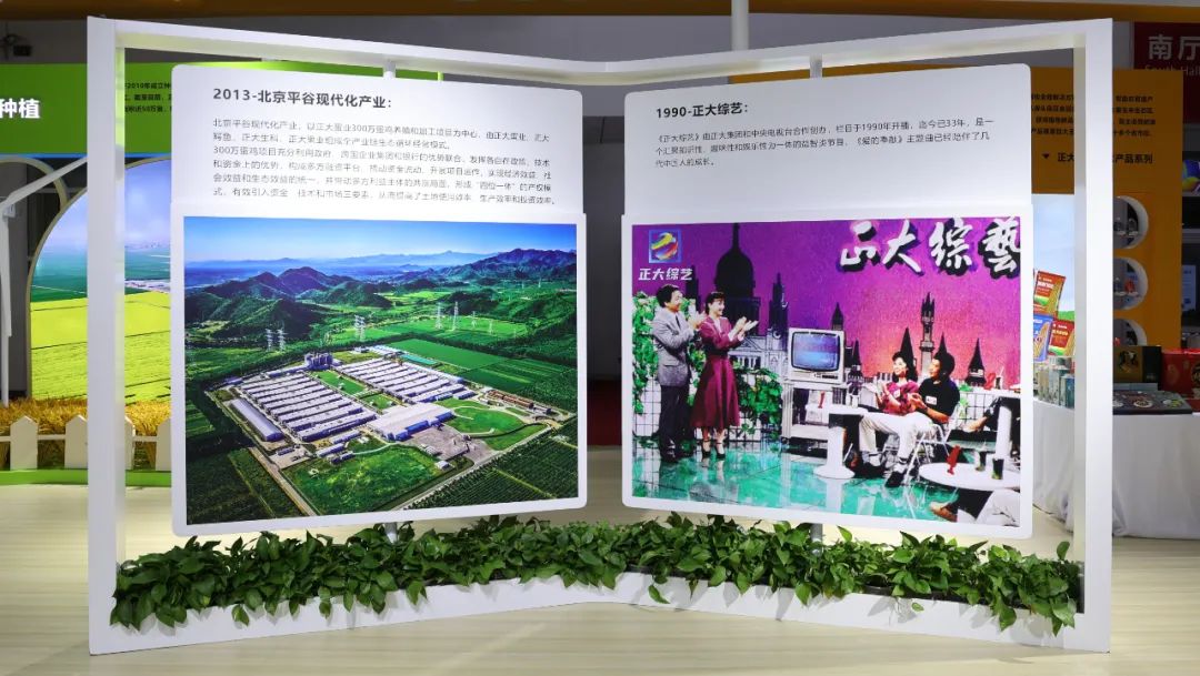 BET体育365投注官网