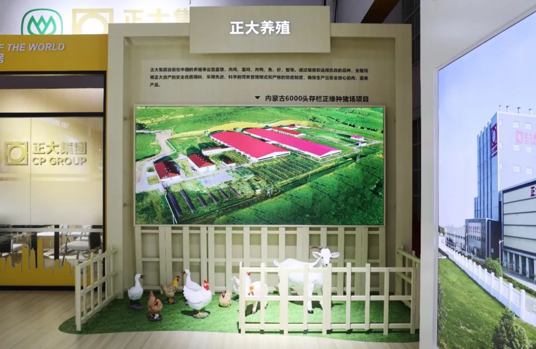 BET体育365投注官网