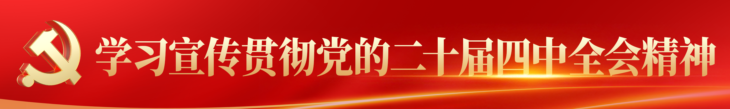 学习宣传贯彻党的二十届四中全会精神