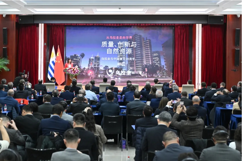 BET体育365投注官网