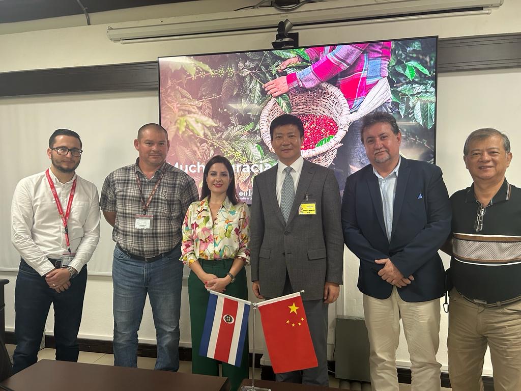 BET体育365投注官网