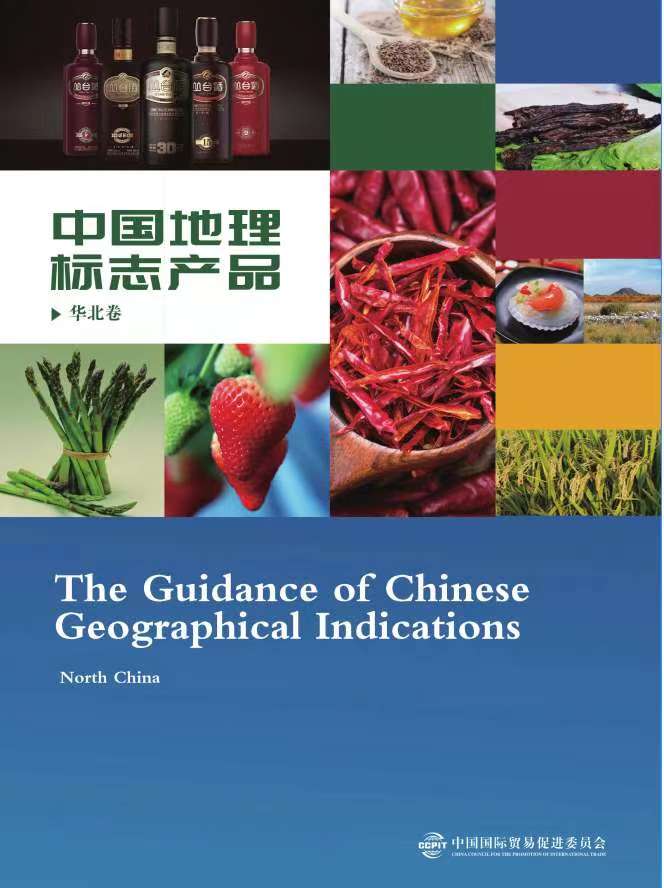 BET体育365投注官网